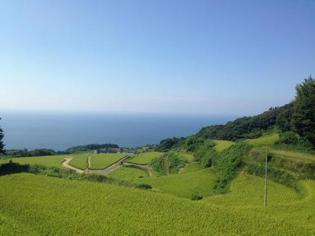 海と田園 海と田園 海,田園,山口の写真素材
