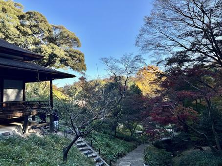 秋の日本庭園と紅葉 秋の日本庭園と紅葉の写真