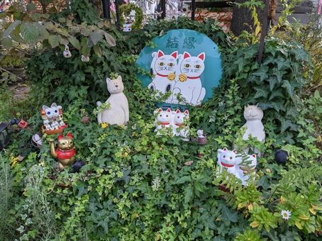 今戸神社の招き猫 今戸神社,茂み,招き猫の写真素材