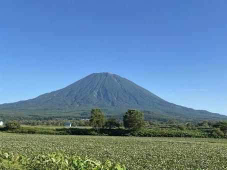 蝦夷富士 蝦夷富士 北海道,山,羊蹄山の写真素材