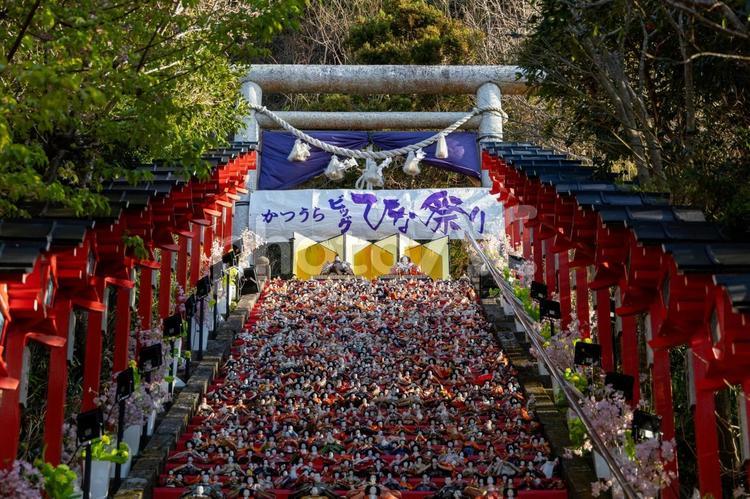 夕暮れで日陰になった勝浦ひな祭りひな壇 夕暮れ,日陰,人形の写真素材