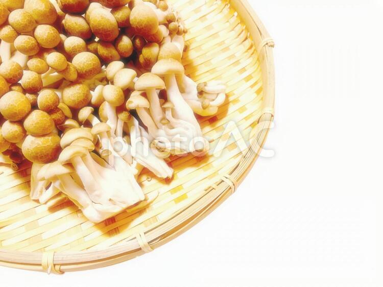 しめじ しめじ,きのこ,素材の写真素材