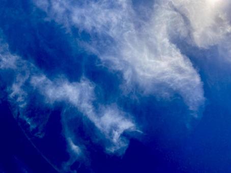 夏の青空 夏の青空の写真