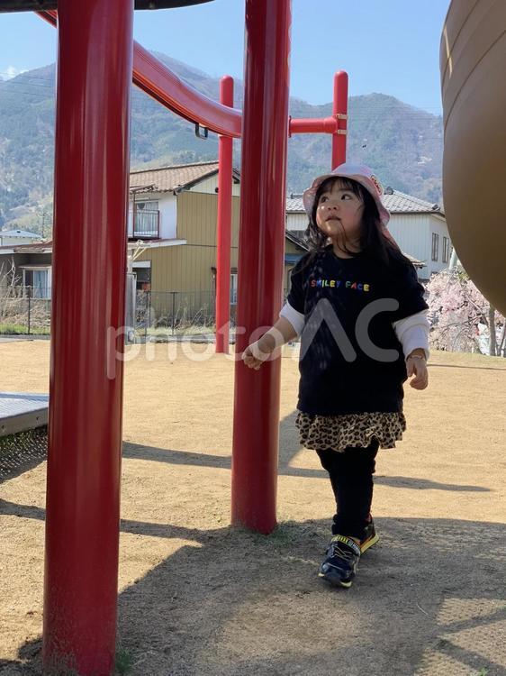 公園のどこで遊ぼうか選んでる子供 公園,遊具,遊ぶの写真素材