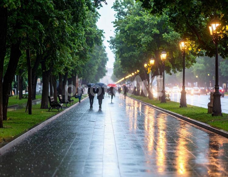 小雨降る街 街,歩道,雨の写真素材