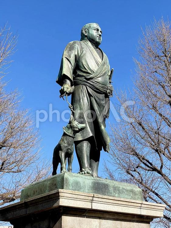 東京風景・上野公園 上野公園,上野恩賜公園,西郷隆盛像の写真素材