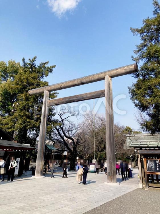 東京風景・靖国神社 靖国神社,靖国,神社の写真素材