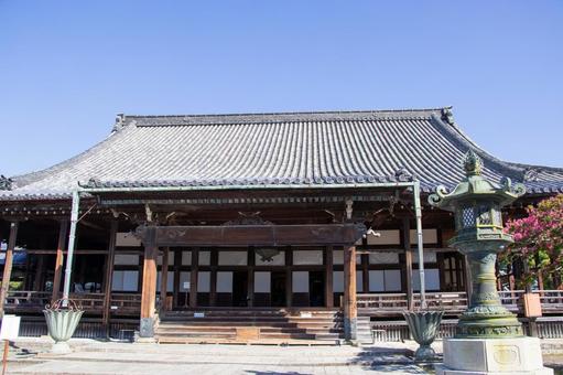 長浜御坊 本堂 長浜御坊 本堂 長浜御坊,本堂,長浜別院大通寺の写真素材