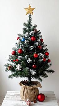 小さいクリスマスツリー 小さいクリスマスツリーの写真