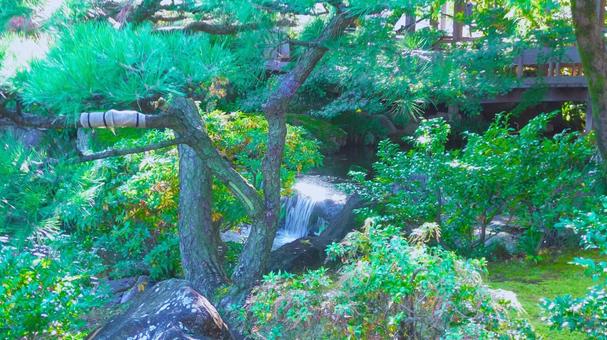 姫路城 好古園10 秋,紅葉,松の写真素材