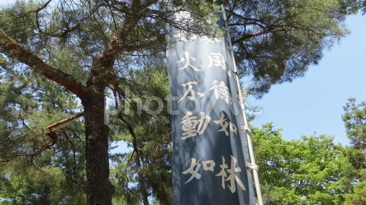 のぼり旗　風林火山　武田家 のぼり旗,軍旗,旗の写真素材