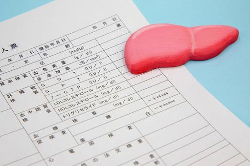 健康診断書と肝臓 健康診断書と肝臓 健康,健康診断,肝臓の写真素材