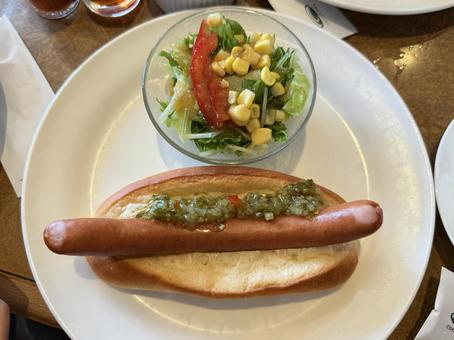 ホットドック ホットドック,サラダ,ウインナーの写真素材