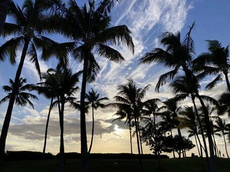 ハワイの空Ａ ハワイ,海外,リゾートの写真素材