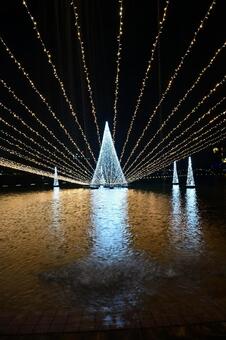 富山県富岩運河環水公園のライトアップ 夜景,風景,夜の写真素材