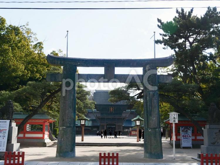 福岡県福岡市　筥崎宮一の鳥居と楼門 筥崎宮,鳥居,一の鳥居の写真素材
