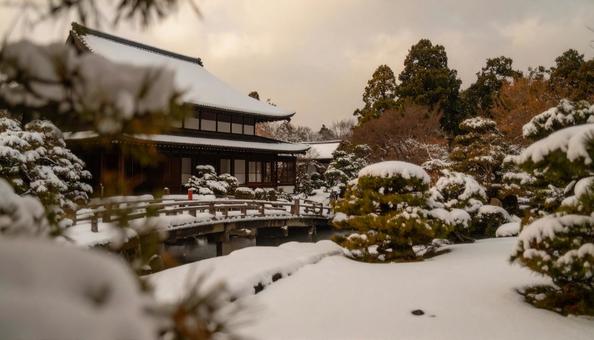大雪が降った翌日の朝の日本庭園 大雪が降った翌日の朝の日本庭園の写真