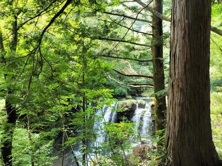 那須の乙女の滝 乙女の滝,那須,滝の写真素材