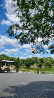 休息 休息 休息,木陰,風景の写真素材
