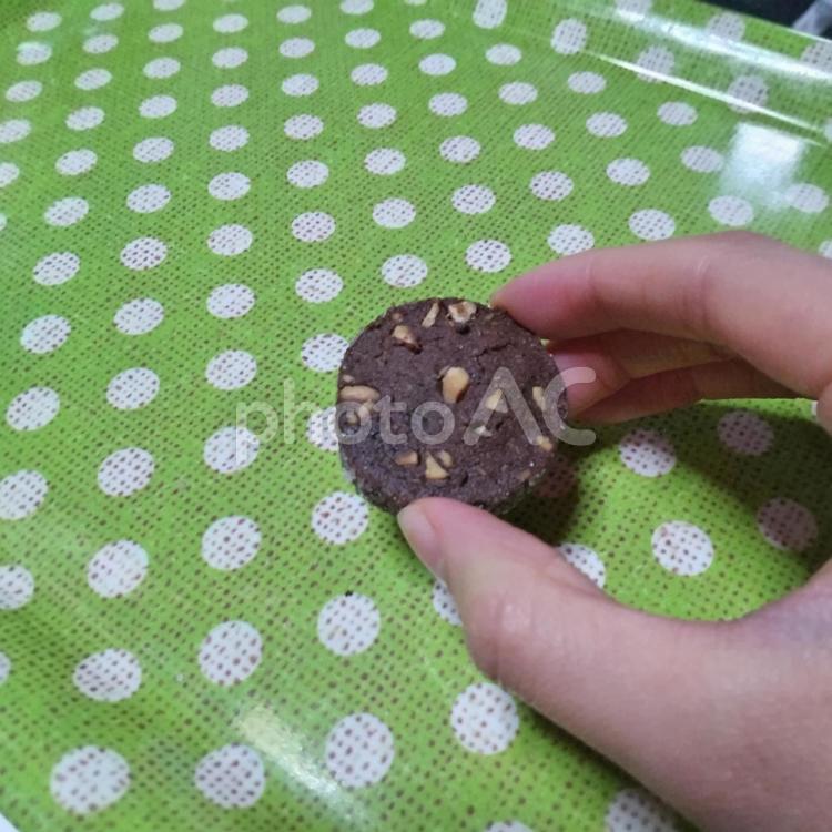 クッキーつまむ～ココア クッキー,焼菓子,スイーツの写真素材