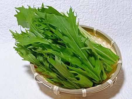 水菜 水菜,野菜,食材の写真素材