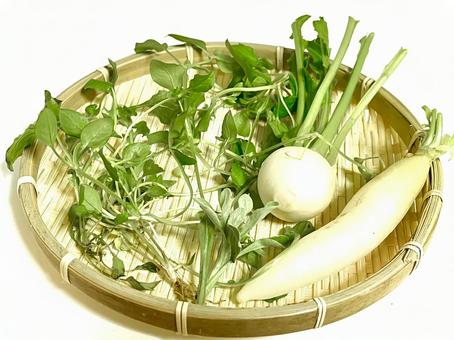 春の七草 七草,春,植物の写真素材