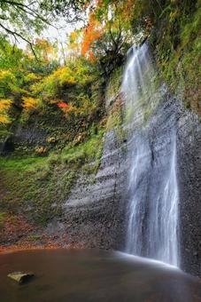 紅葉の滝 紅葉の滝の写真