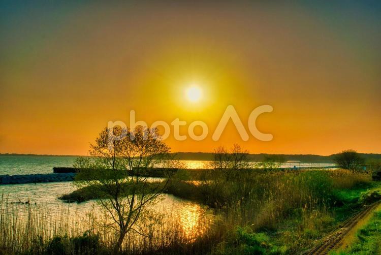 霞ヶ浦の夕焼け 日の入り,夕日,日没の写真素材
