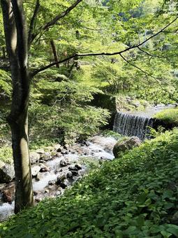 緑に包まれた川 緑に包まれた川 川,水流,渓流の写真素材