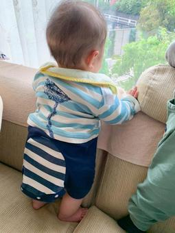 つかまり立ちする赤ちゃん つかまり立ちする赤ちゃん かわいい,子供,生後の写真素材