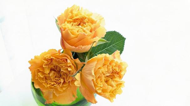 黄色の薔薇 黄色の薔薇 バラ,ブーケ,フラワーの写真素材