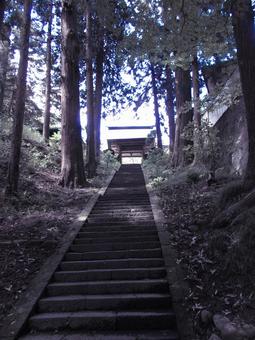 長野県-安楽寺-山門 長野県-安楽寺-山門の写真