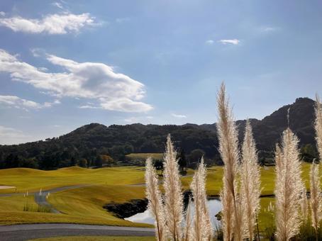 秋空ゴルフ４ ゴルフ,ゴルフコース,ススキの写真素材