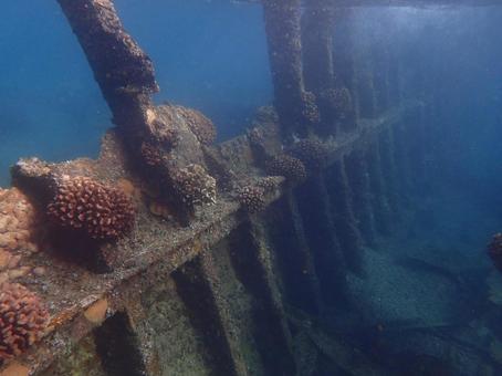 小笠原のシュノーケルポイントの沈船 小笠原のシュノーケルポイントの沈船 小笠原,沈船,シュノーケルの写真素材