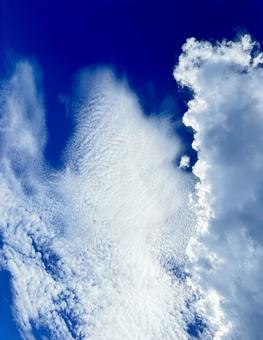 夏の青空 雲模様 夏の青空 雲模様の写真