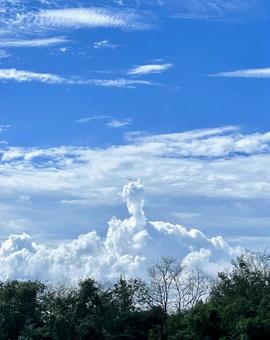 どんどん伸びる雲 どんどん伸びる雲 青空,空,雲の写真素材