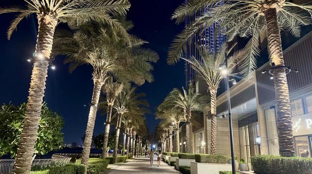 ドバイの綺麗な夜景 ドバイ,夜景,綺麗の写真素材