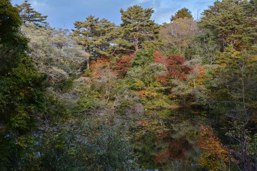 自然 自然 自然,山,登山の写真素材