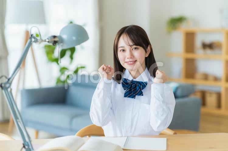 自宅で勉強をする女子高生 高校生,女子,笑顔の写真素材