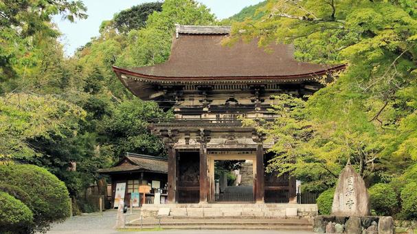 初秋の長等山園城寺(三井寺)大門 初秋の長等山園城寺(三井寺)大門 三井寺,大門,仁王門の写真素材