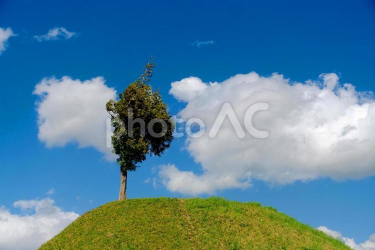 青空と丘の上の木　４ 青空,空,初夏の写真素材
