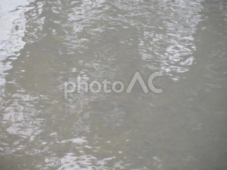 池の濁った水の水面 水面,水域,反射の写真素材
