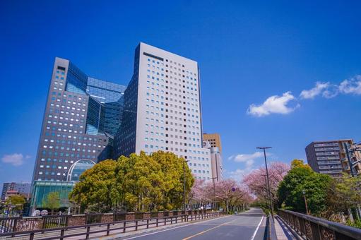 川崎駅前のオフィスビル 川崎駅前のオフィスビル オフィスビル,ガラス建築,高層ビルの写真素材