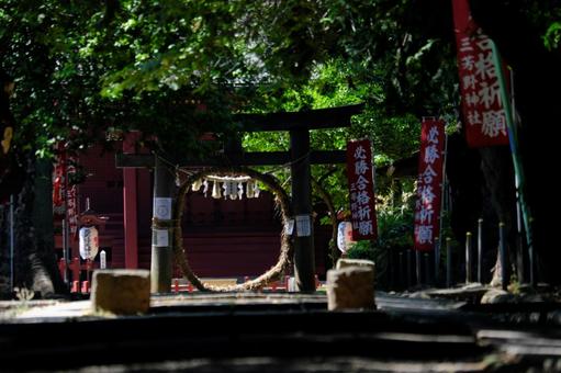 自然に囲まれた神社 木,木漏れ日,グリーンの写真素材