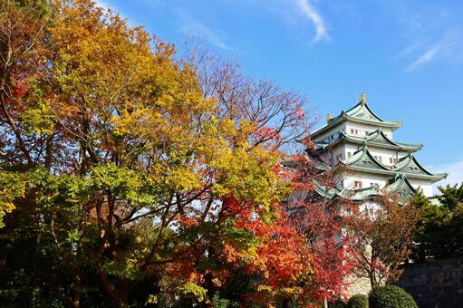 名古屋城と紅葉の色彩豊かな秋景色 名古屋城,城,紅葉の写真素材