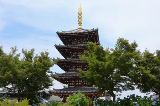 Photo, five-storied pagoda, gamma blue, hydrangea, 