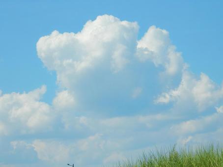 【風景写真】夏空 【風景写真】夏空の写真