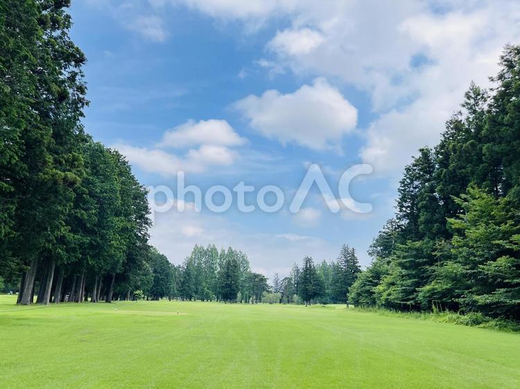 青空と緑に囲まれたゴルフ場風景 ゴルフ,鬼怒川カントリークラブ,鬼怒川の写真素材