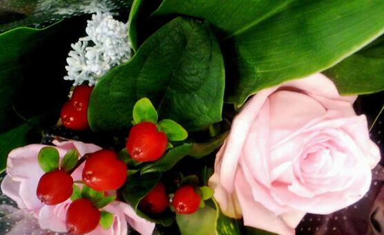 冬の花束 冬の花束の写真