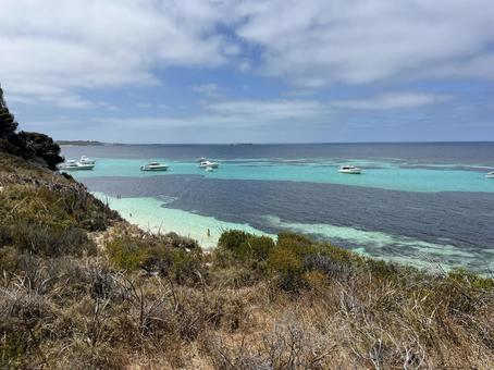 ロットネスト島 ロットネスト島の写真